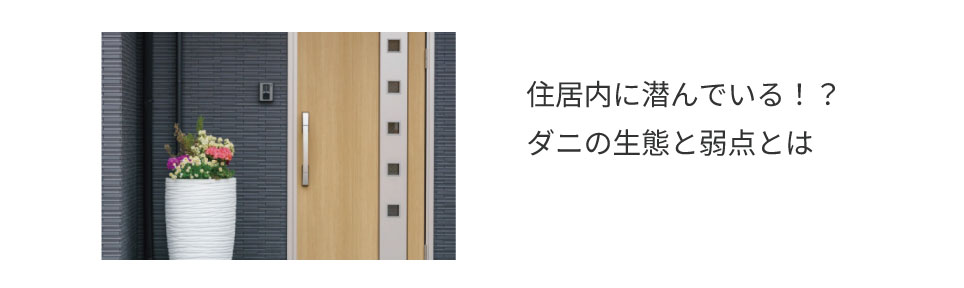 ▼そもそもダニとは？生態について詳しく知りたい方はこちら▼